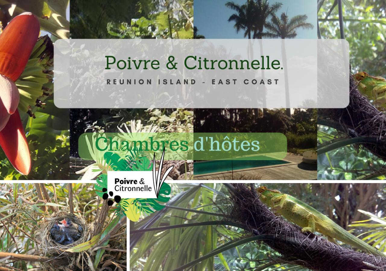 Bed and Breakfast Poivre Et Citronnelle Saint-André Exterior foto